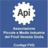 confapi-fvg.original.png